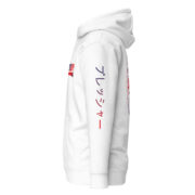 Pressure Gradient Hoodie (プレッシャー Edition) - Image 10