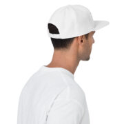 Pressure Gradient Snapback - Image 5