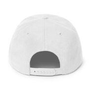 Pressure Gradient Snapback - Image 10